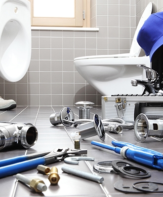 Toilet Replace/Repair